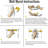 Peel & Stick Clear Border-88769764