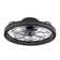 19'' Dimmable Caged Ceiling Fan with LED Lights