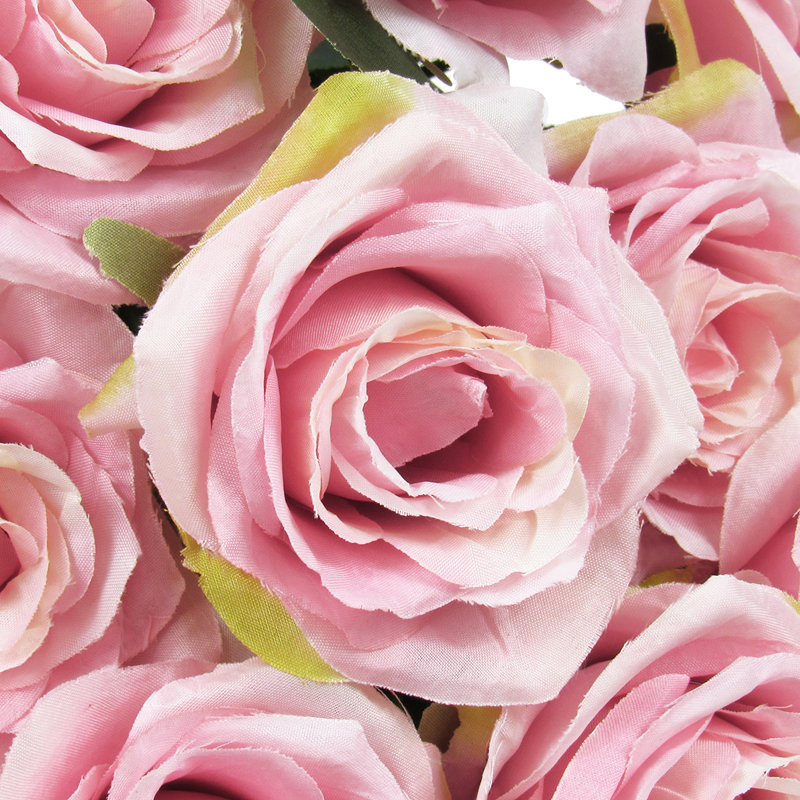 Grand rosier, Rose / mauve