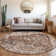 Ceajay Oriental Indoor Rug