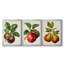 Antique Fruit IX - Ensemble de 3 impressions sur toile encadrées-700919553-700919558