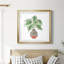Boho Greenery I - peinture encadrée-1557544256-1557544259