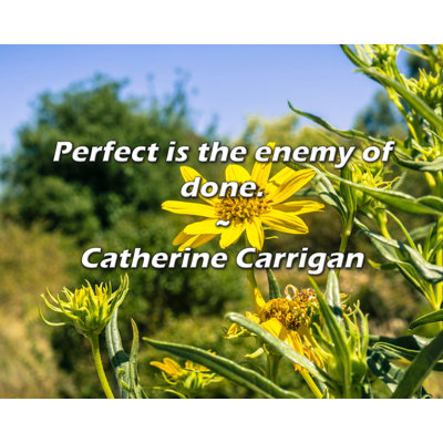 Catherine Carrigan Quote: Perfect is the enemy of done.