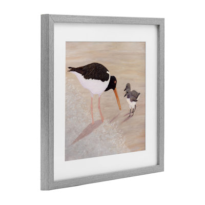 American Oyster Catcher & Chicks, reproduction encadrée sous verre, conception de Barbara Fallenbaum