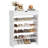 Shoe Storage Cabinet