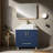 Ebony 24'' Blue Morden Free-standing Single Bathroom Vanity Set