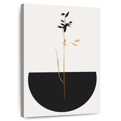 Harnek Planta NEGRA