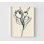 Impression de fleurs minimalistes, dessin au trait naturel, impression de vibrations printanières, impression de fleurs, décoration murale botanique, art mural encadré