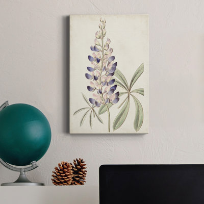 Antique Botanical Collection II - reproduction