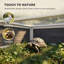 Tortue Habitat extérieur avec couloir, enceinte en bois de tortue avec fenêtre transparente, toit ouvrable et portes multiples, huche de lapin pour la cour arrière, gris foncé