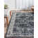 Yareli Oriental Indoor Rug