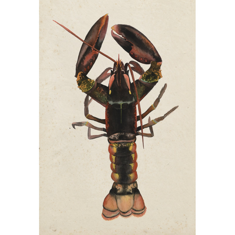 Sea Dweller I - Wrapped Canvas Print, 46cm H x 30cm W x 3.8cm D