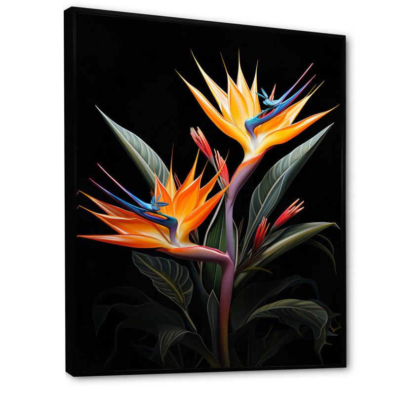 Oiseaux du paradis II - impressions murales florales et botaniques, H 40 po x l 30 po x P 1,5 po, Cadre flottant noir