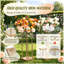 Plant Stand 1 Tier Set of 4