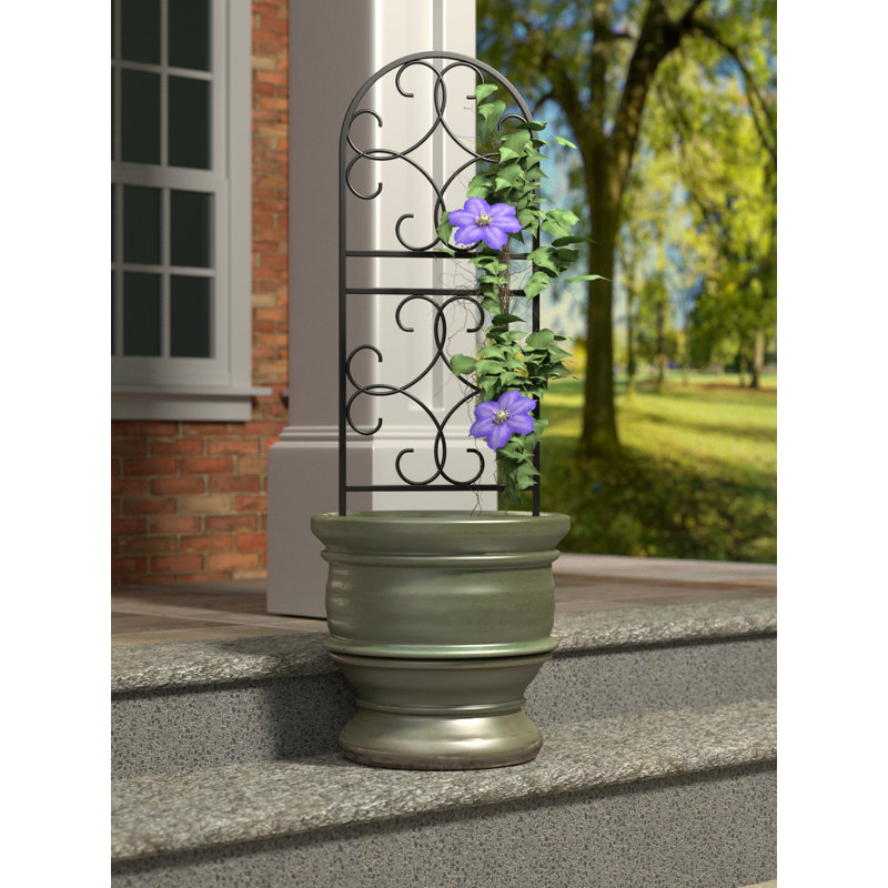 91cm H x 38cm W Metal Arched Trellis