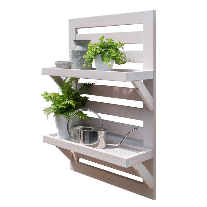 Marceline 2 Piece Eucalyptus Solid Wood Tiered Shelf