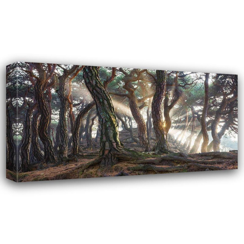 «Red Barrel Studio® Ryu, Jaeyoun», reproduction d'art sur toile tendue: pins sacrés, H 15 po x l 24 po