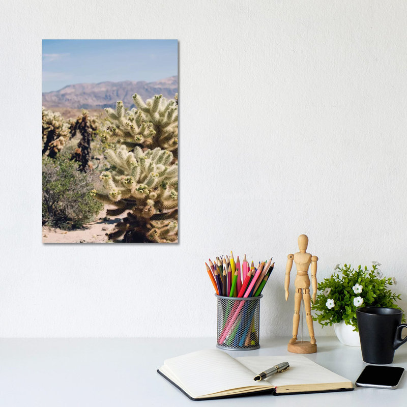 Cholloa Cactus Garden by Ann Hudec - Wrapped Canvas Print, 20.32 cm H x 30.48 cm W