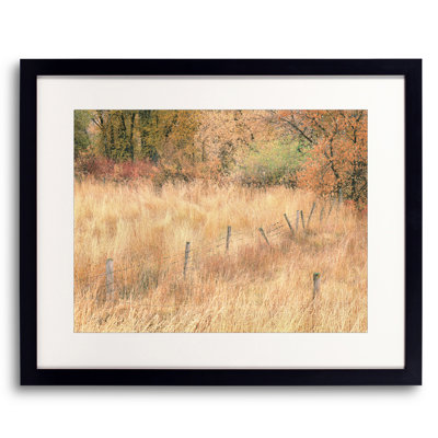 Swan Valley Autumn Portrait #7 Print by Bruce Heinemann