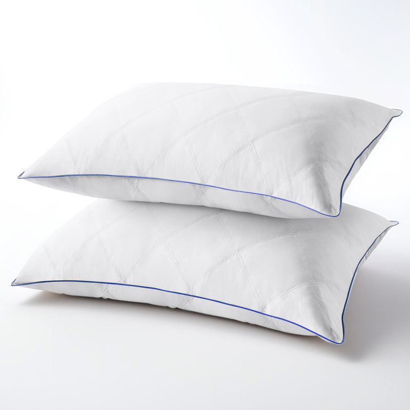 Oreiller gris en duvet d'oie (ensemble de 2), Roi