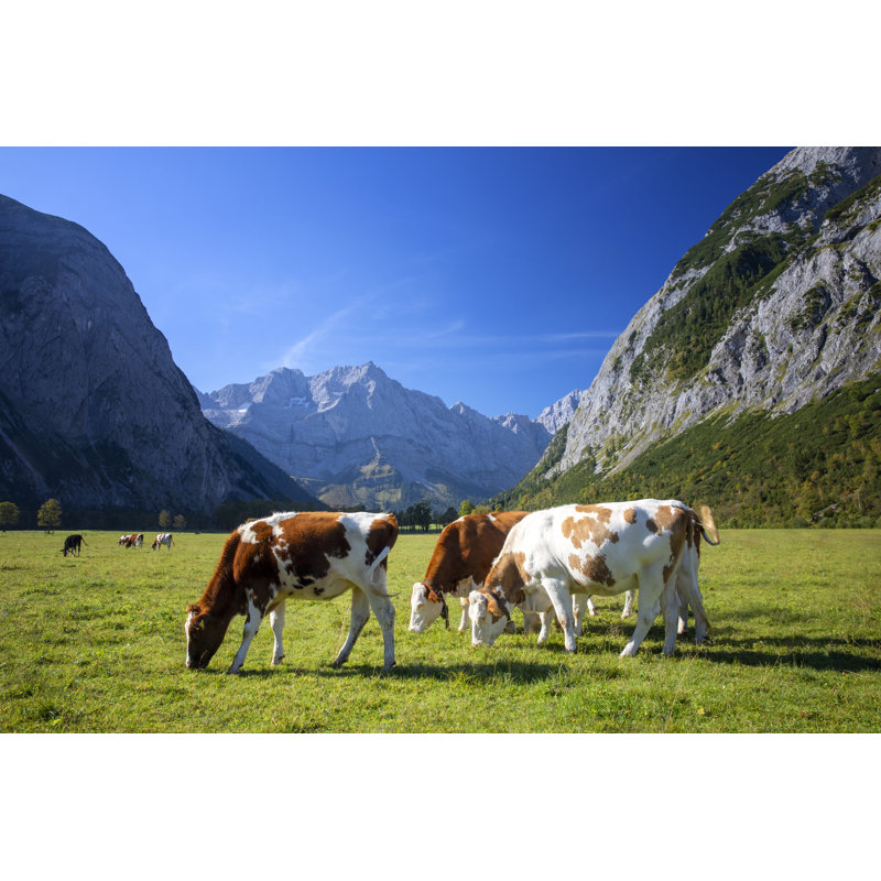 Happy Cows - Wrapped Canvas Print, 81cm H x 122cm W x 3.8cm D