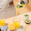 Mini-presse-fruits portatif-130490872