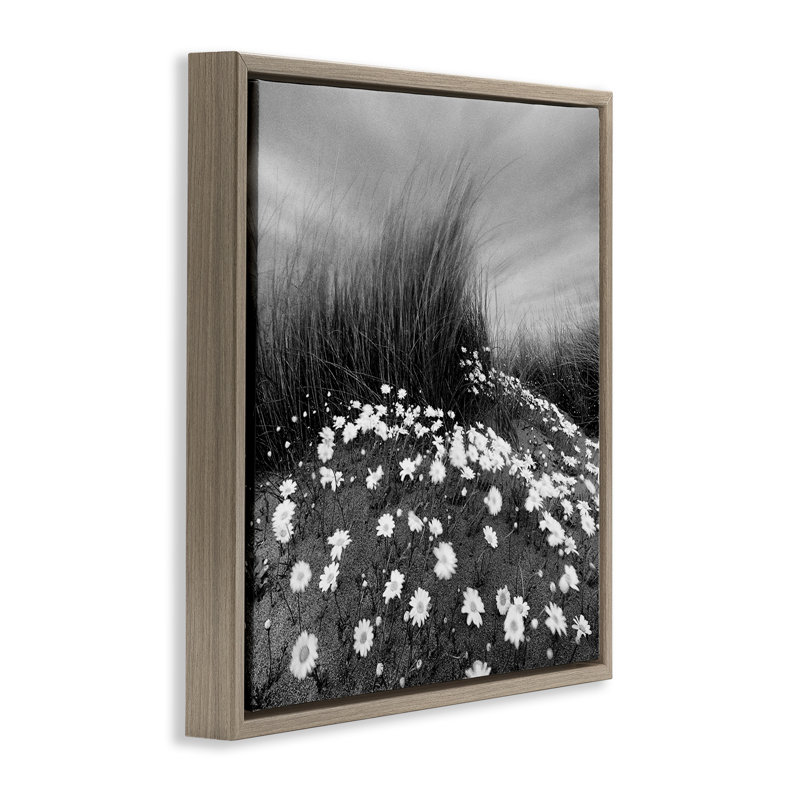 "Sand Daisies on Hill", art mural sur toile flottante par Chip Forelli, Cadre flottant orme Montalcino, H 18 po x l 18 po