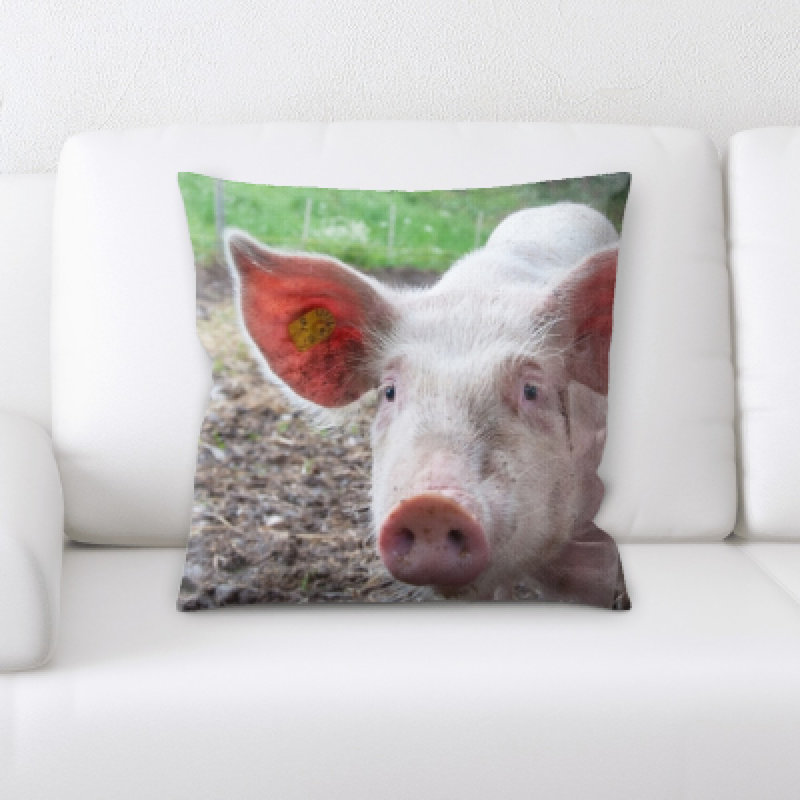 Microsuede Reversible Throw Pillow