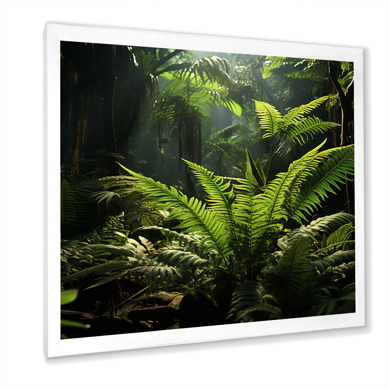 Jungle Ferns Delight sur impression sur toile, H 24 po x l 24 po x P 1 po, Cadre simple blanc