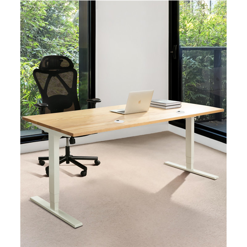 Bureau debout à hauteur réglable, H 49 po x l 55 po x P 27,5 po, Noir, noir, noir, noir