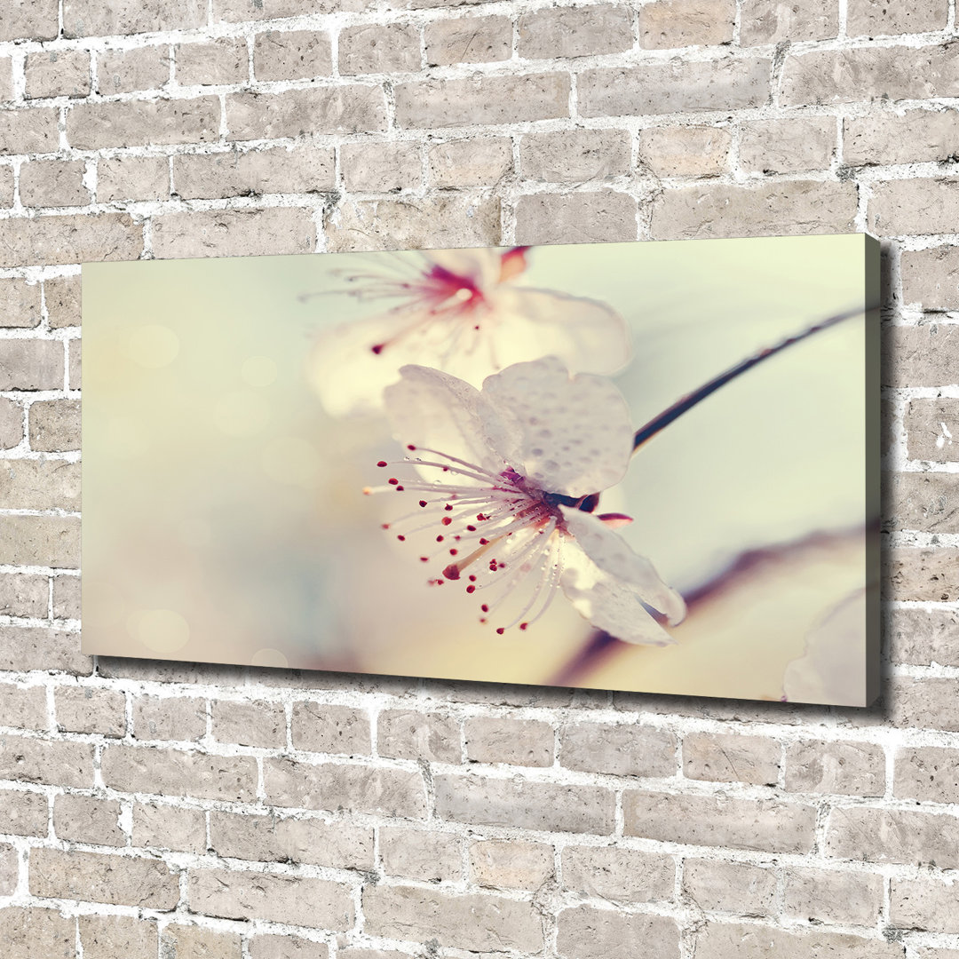Cherry Blossom - Wrapped Canvas Print