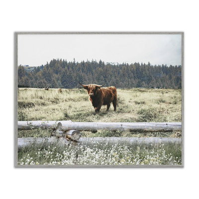 Cattle Overlooking Fence Black Framed Giclee Art by Gail Peck
