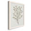 Toile simple encadrée Premium Sprig III - prête à être accrochée-1499364541-1499364540