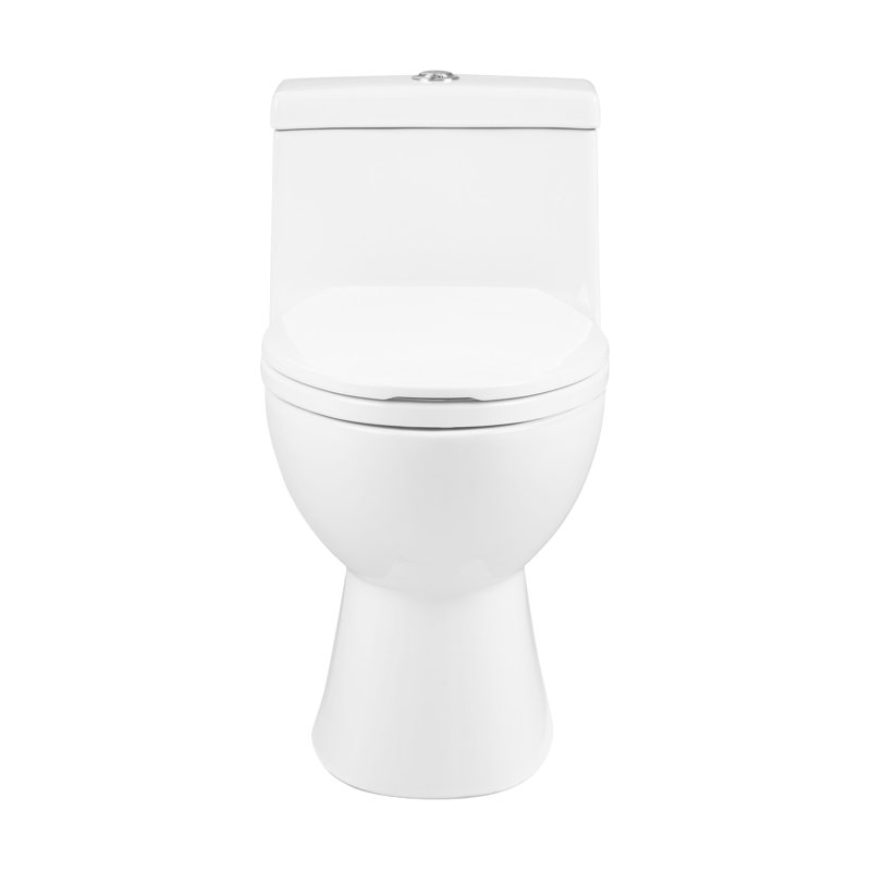 Avallon One-Piece Elongated Dual Flush-Toilet 1.1/1.6 gpf