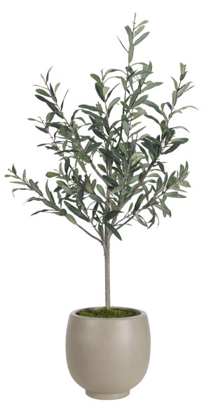 Olive, pot en béton, l 26 po x P 23 po