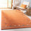 Danette Hand Loomed Wool Southwestern Indoor Rug