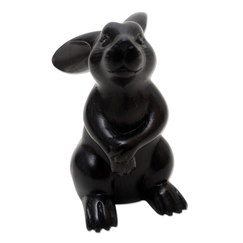 Adorable lapin Brazell, Noir