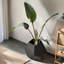 Table d'appoint pour chat 25,98 po-1126920471