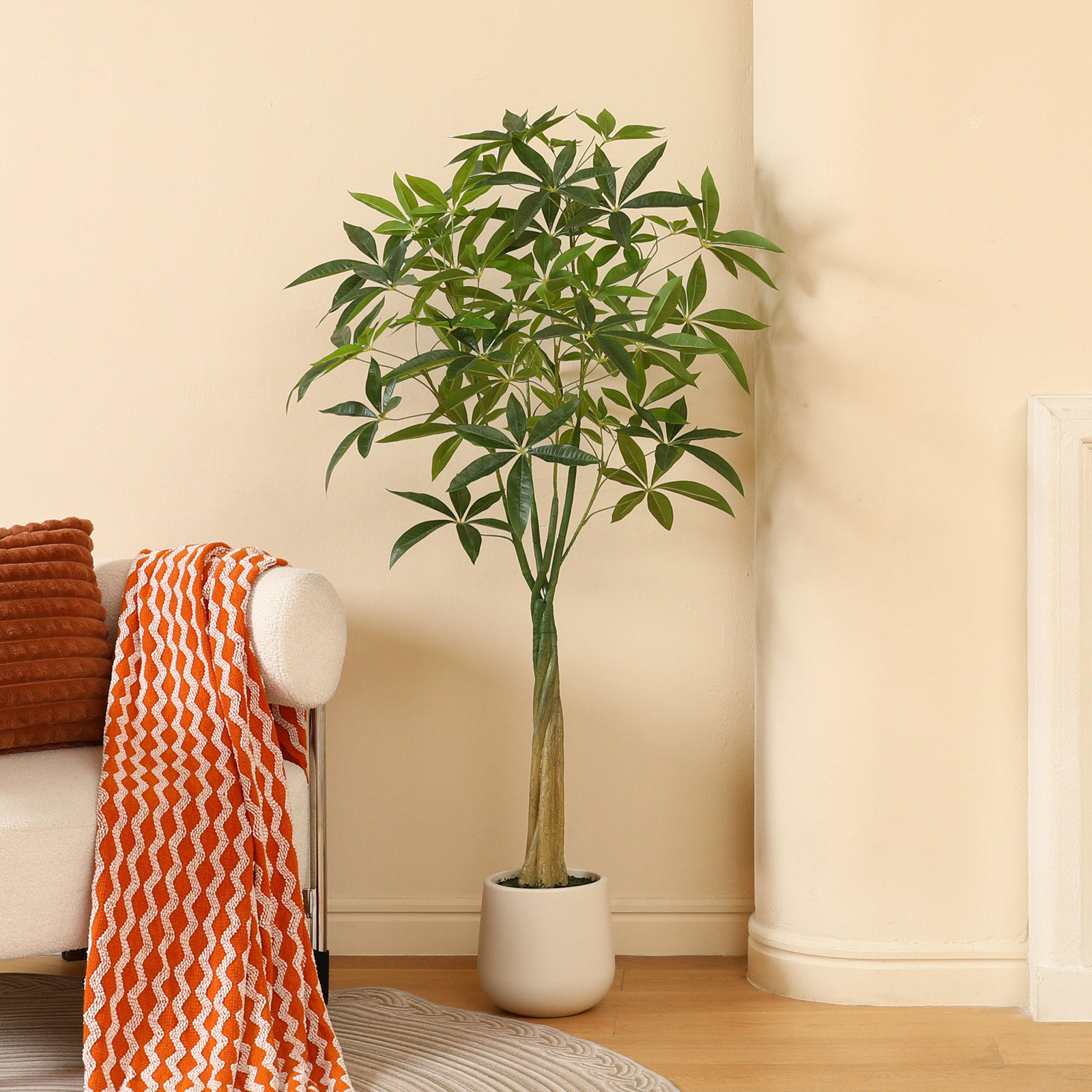 Anden Money Tree in Pot, 60" H x 20" W x 20" D