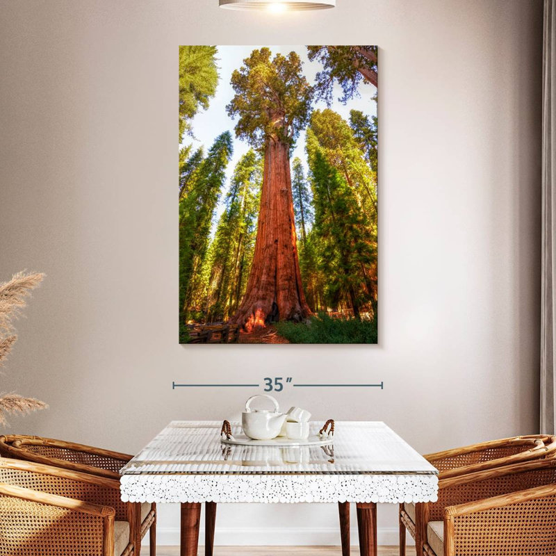 Harnek Redwood Tree Grove, 51" H x 34" W