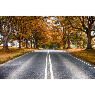 Badbury Rings - Wrapped Canvas Print