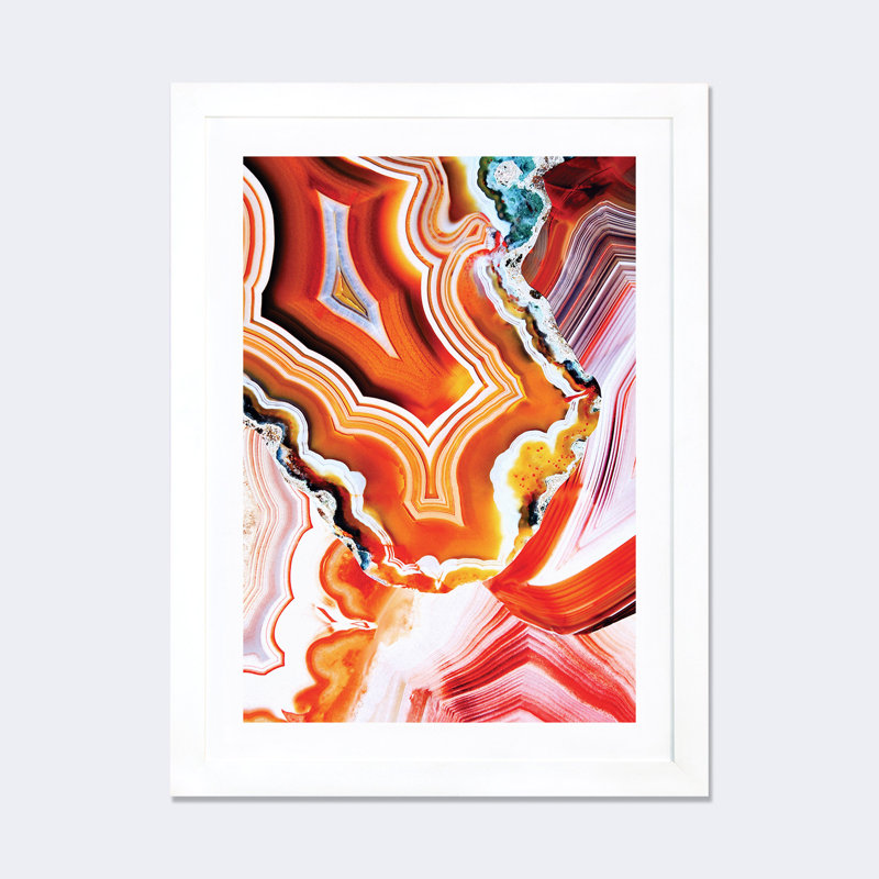 «The Vivid Imagination of Nature», impression, H 24 po x l 16 po x P 1 po, Papier encadré blanc