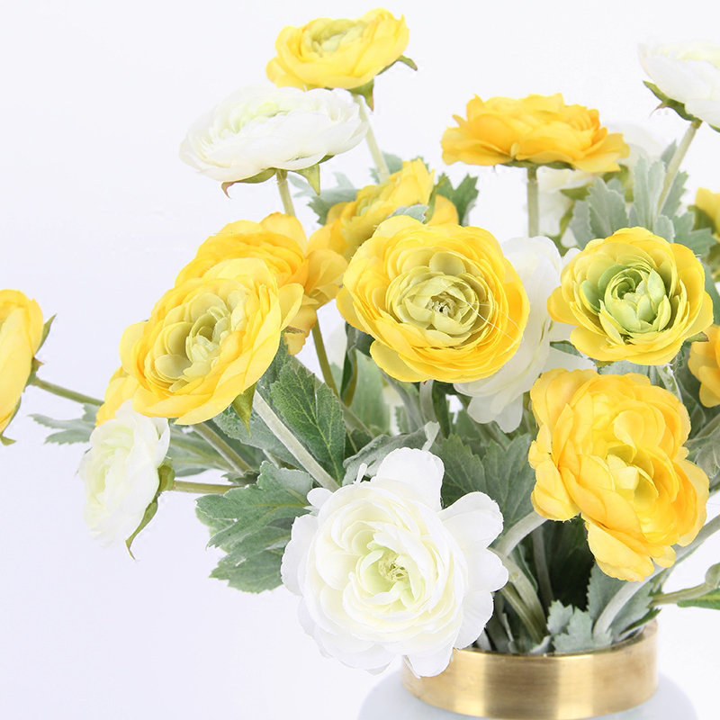 Arrangement, White