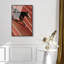 Velocity Vector Print-1066364211-807545692