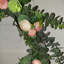 Couronne lumineuse 19 po Ranunculus and Eucalyptus