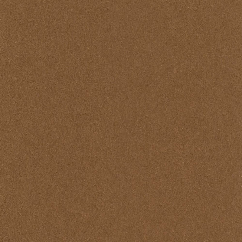 Rouleau de papier peint L 33 pi x l 21 po, Bronze