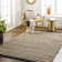Crumrine Solid Color Handmade Flatweave Polyester Area Rug in Brown