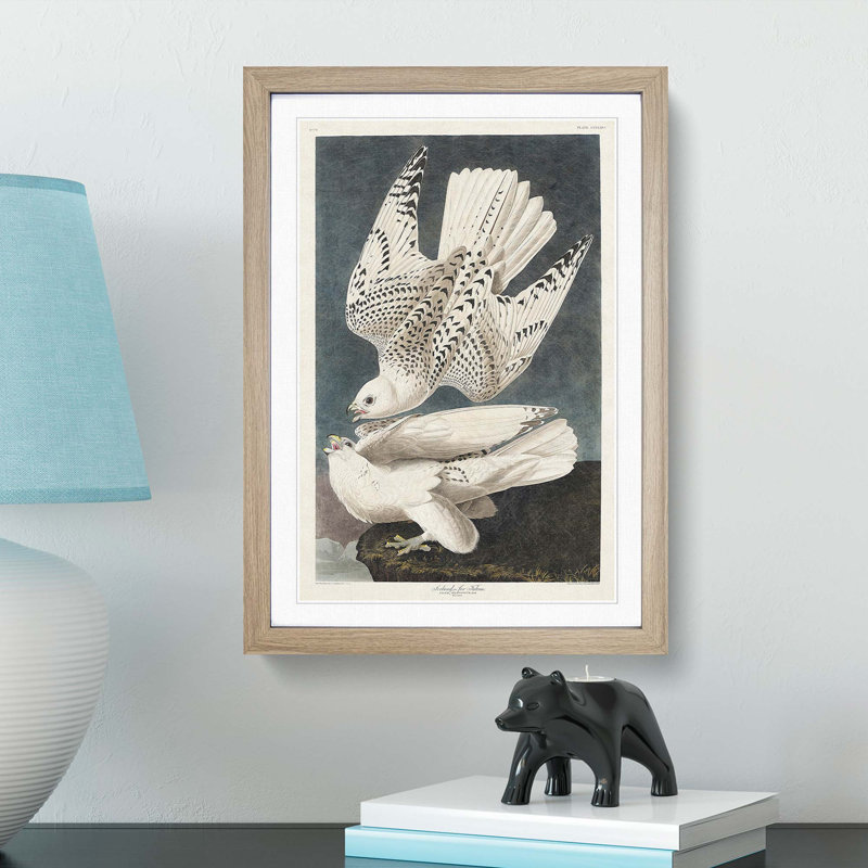 Two Gyrfalcons by John James Audubon - Picture Frame Painting Print, 36cm H x 27cm W x 2cm D, Oak Framed