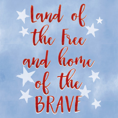 Land Of The Free 3 - Wrapped Canvas Print