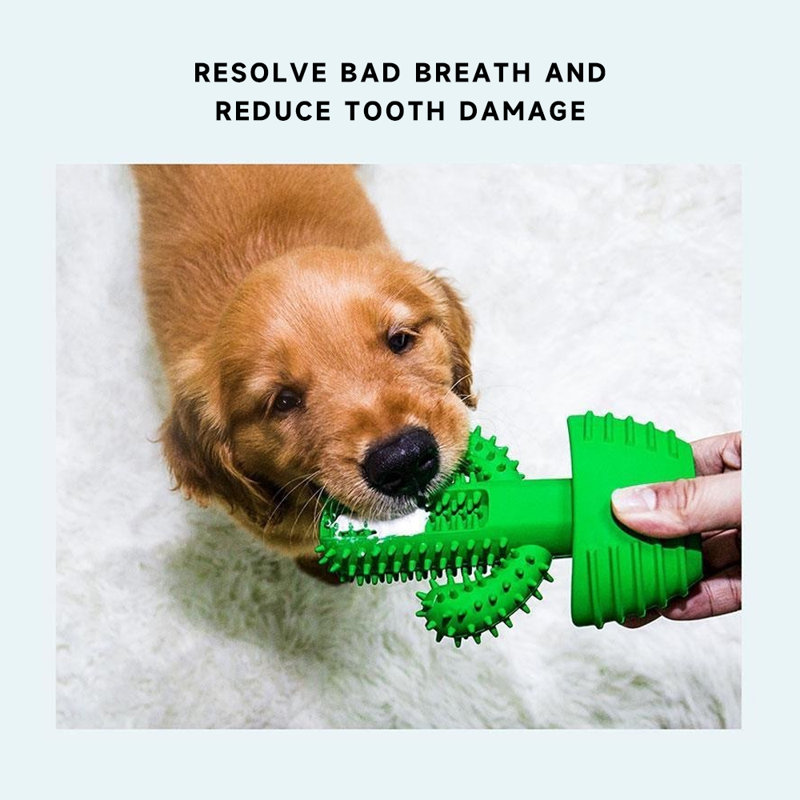 Brosse à dents Dog Dog